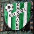 Sokol Zakřany (muži) - BANÍK  6:9 (2:3)